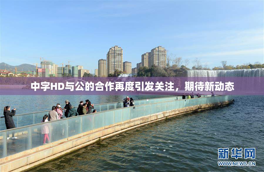 中字HD与公的合作再度引发关注，期待新动态