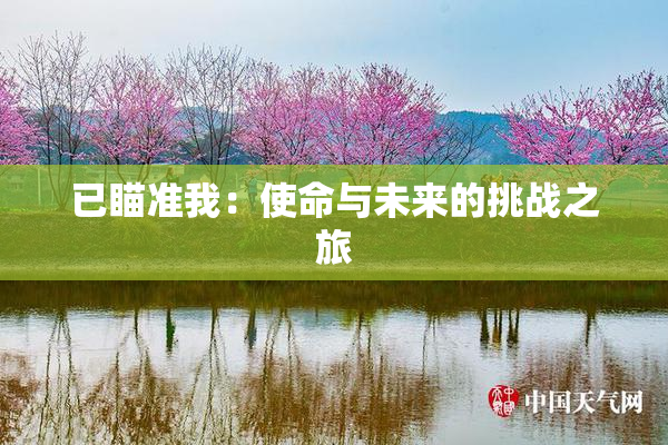 已瞄准我：使命与未来的挑战之旅