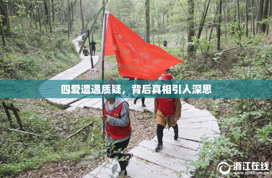 四爱遭遇质疑，背后真相引人深思