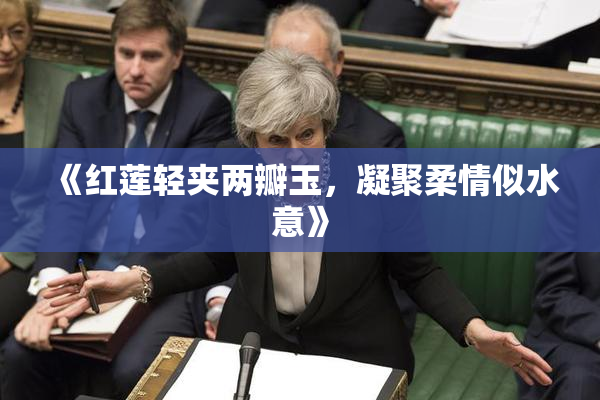 《红莲轻夹两瓣玉，凝聚柔情似水意》