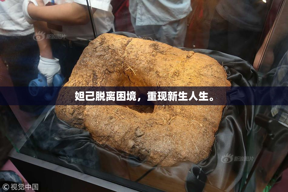 妲己脱离困境，重现新生人生。