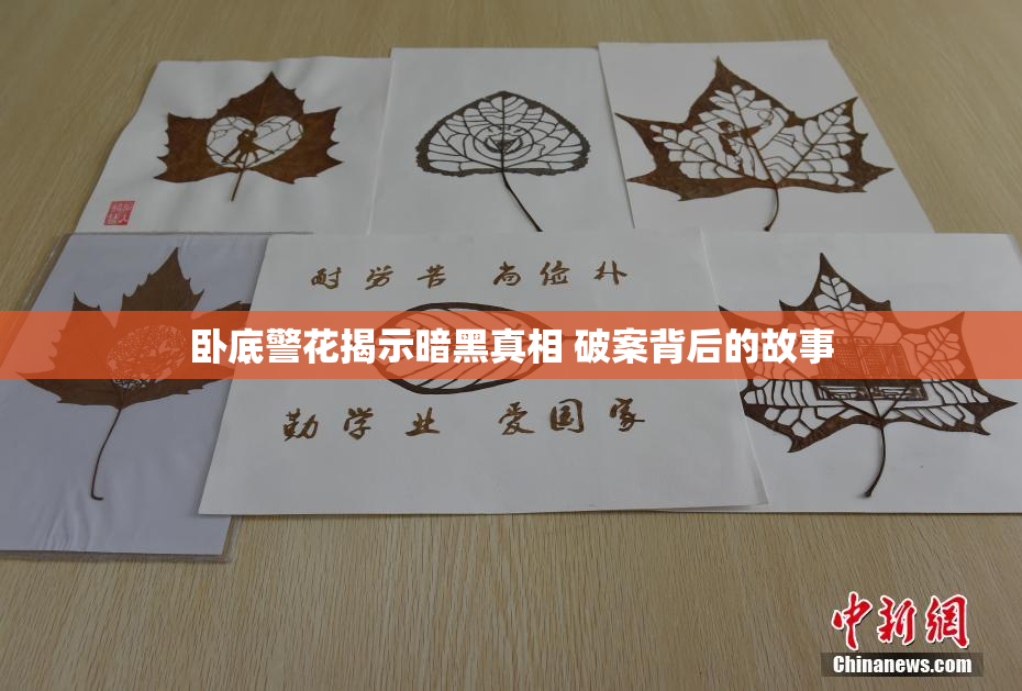 卧底警花揭示暗黑真相 破案背后的故事