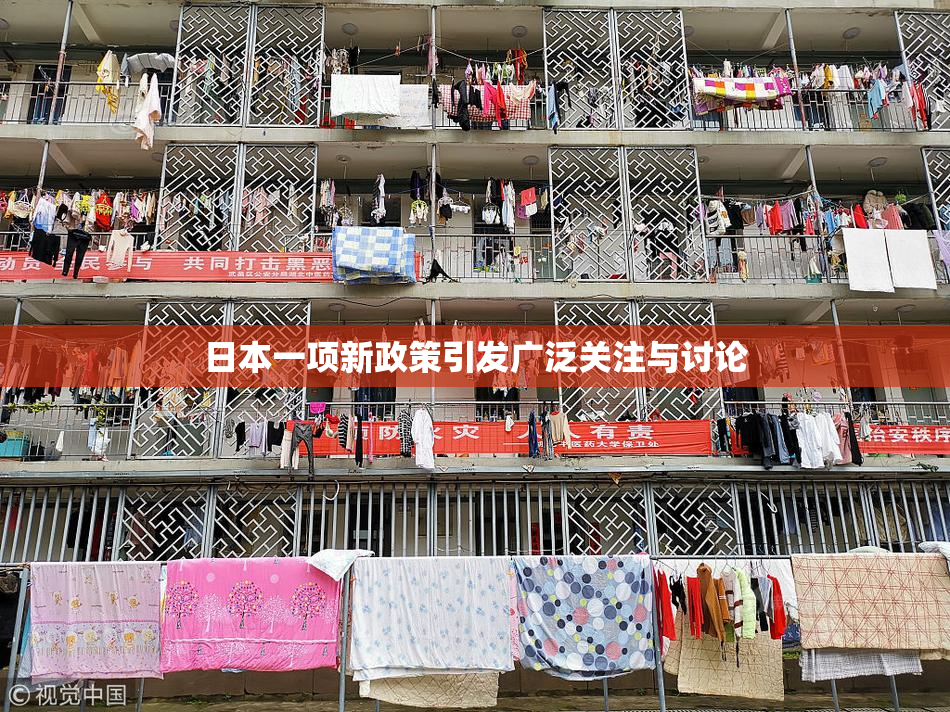 日本一项新政策引发广泛关注与讨论