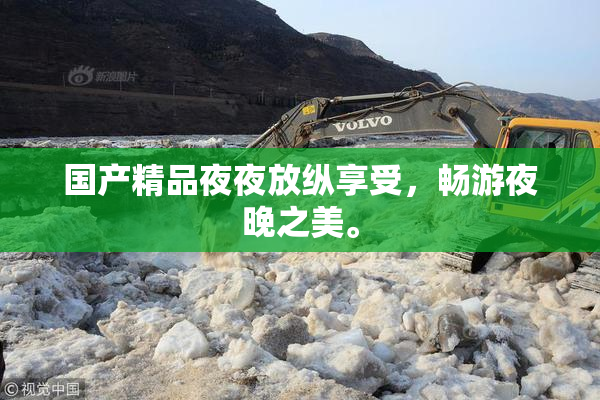 国产精品夜夜放纵享受，畅游夜晚之美。