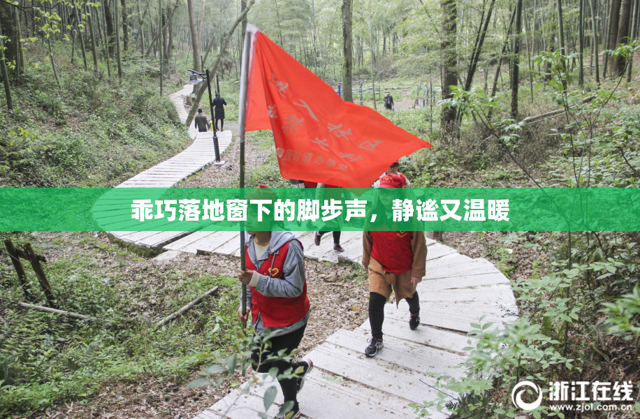乖巧落地窗下的脚步声，静谧又温暖
