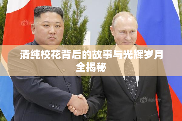 清纯校花背后的故事与光辉岁月全揭秘