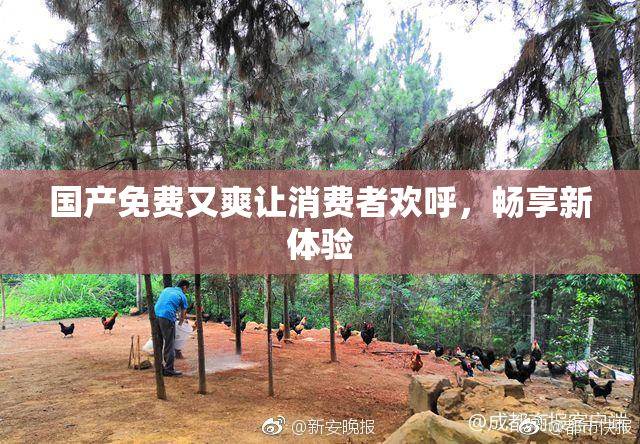 国产免费又爽让消费者欢呼，畅享新体验