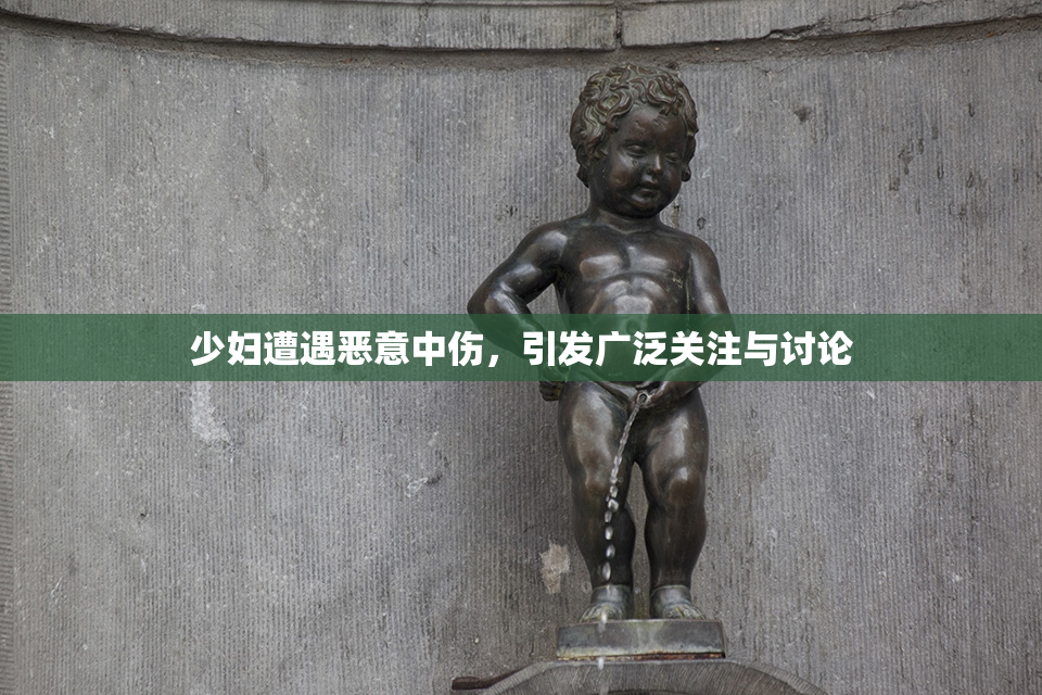 少妇遭遇恶意中伤，引发广泛关注与讨论