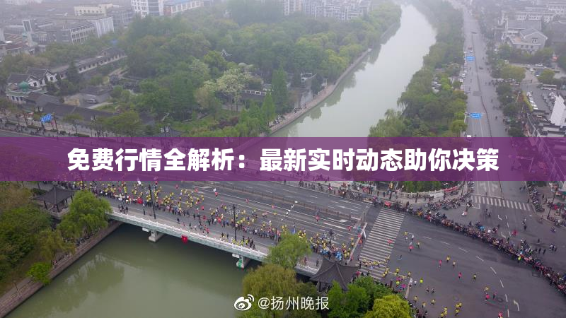 免费行情全解析：最新实时动态助你决策