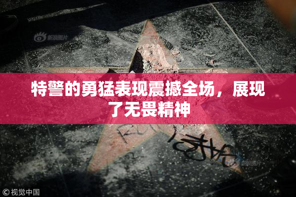 特警的勇猛表现震撼全场，展现了无畏精神