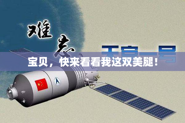 宝贝，快来看看我这双美腿！