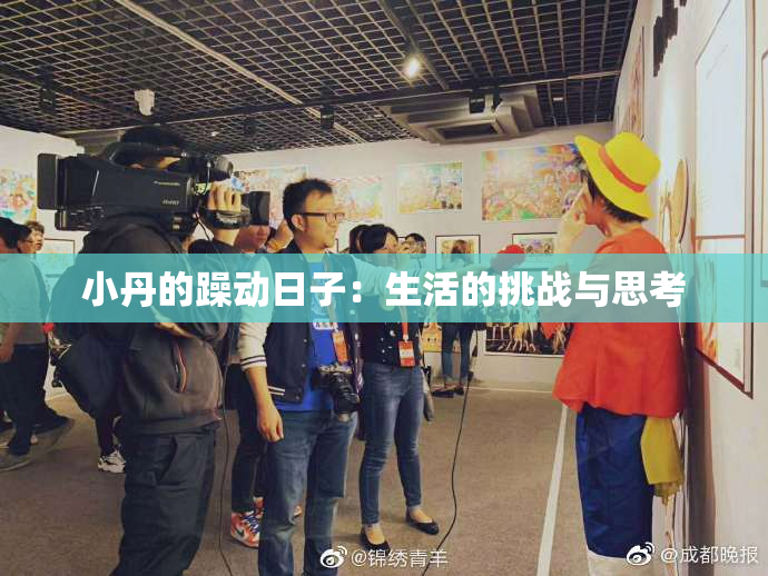 小丹的躁动日子：生活的挑战与思考