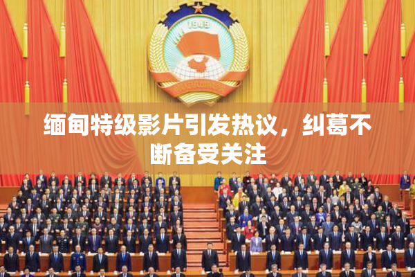 缅甸特级影片引发热议，纠葛不断备受关注