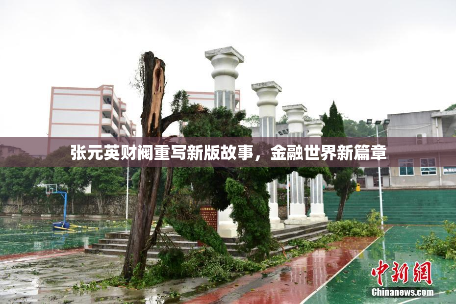 张元英财阀重写新版故事，金融世界新篇章