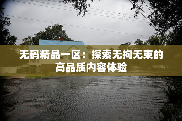 无码精品一区：探索无拘无束的高品质内容体验