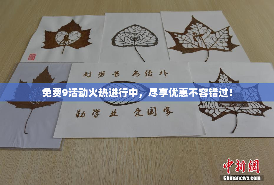免费9活动火热进行中，尽享优惠不容错过！