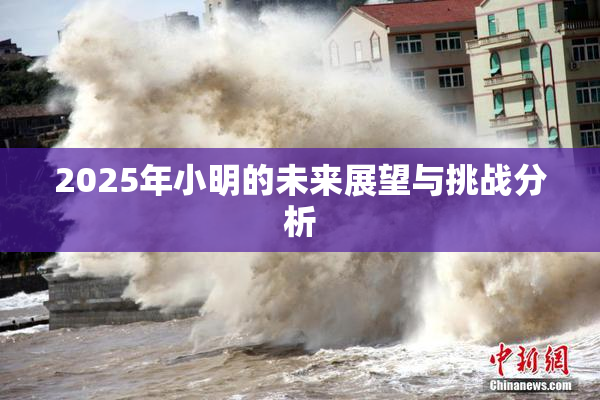 2025年小明的未来展望与挑战分析