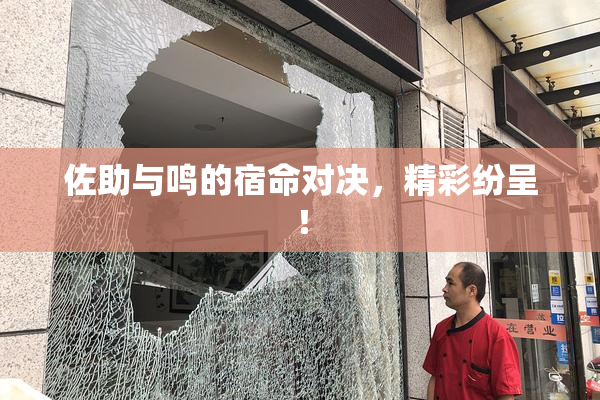 佐助与鸣的宿命对决，精彩纷呈！