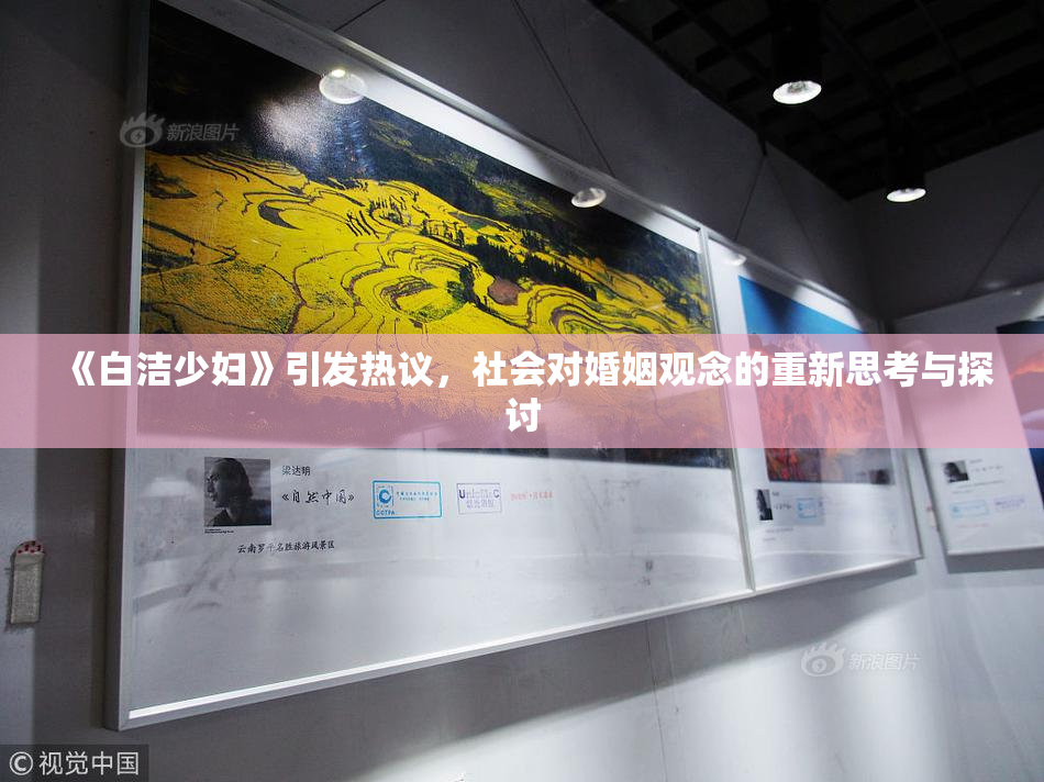 《白洁少妇》引发热议，社会对婚姻观念的重新思考与探讨