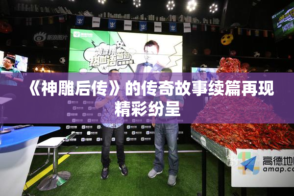 《神雕后传》的传奇故事续篇再现精彩纷呈