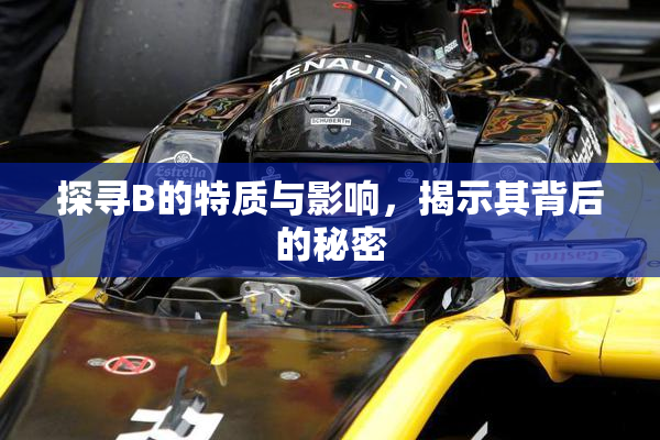 探寻B的特质与影响，揭示其背后的秘密