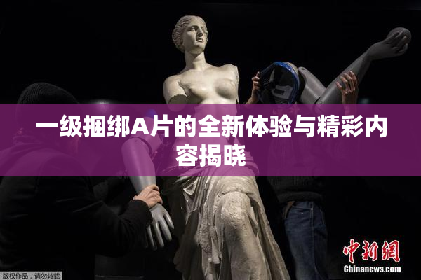 一级捆绑A片的全新体验与精彩内容揭晓