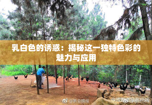 乳白色的诱惑：揭秘这一独特色彩的魅力与应用