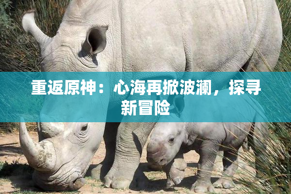重返原神：心海再掀波澜，探寻新冒险