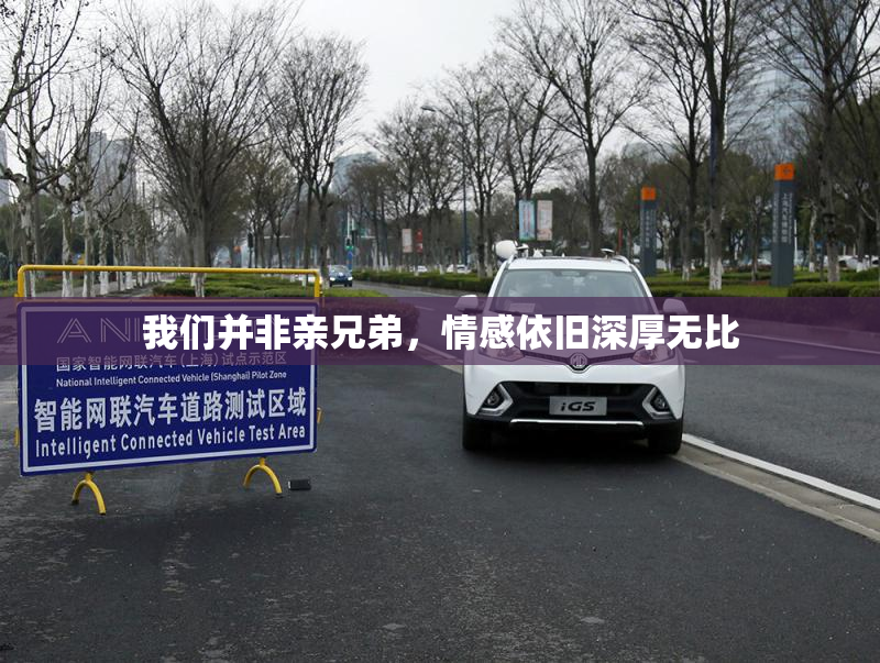 我们并非亲兄弟，情感依旧深厚无比