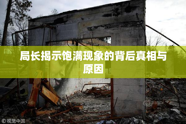 局长揭示饱满现象的背后真相与原因