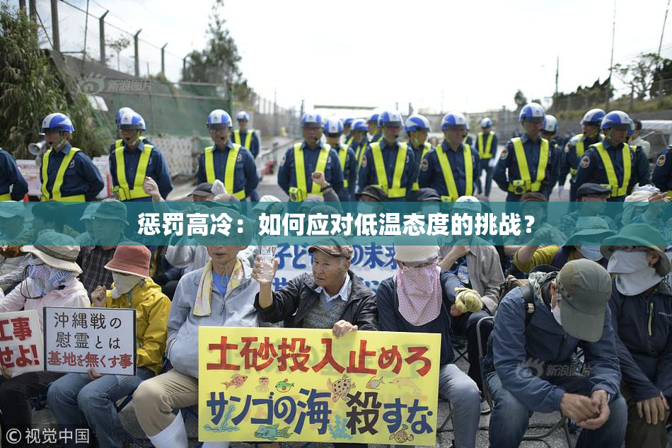 惩罚高冷：如何应对低温态度的挑战？