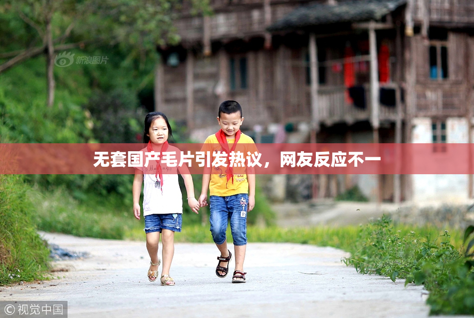 无套国产毛片引发热议，网友反应不一