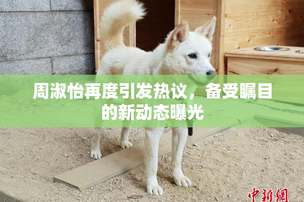 周淑怡再度引发热议，备受瞩目的新动态曝光