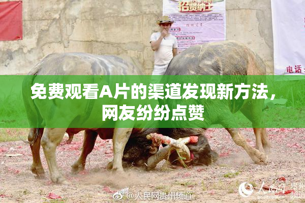 免费观看A片的渠道发现新方法，网友纷纷点赞