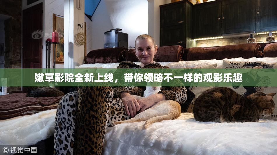 嫩草影院全新上线，带你领略不一样的观影乐趣