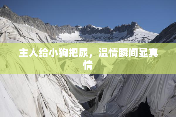 主人给小狗把尿，温情瞬间显真情