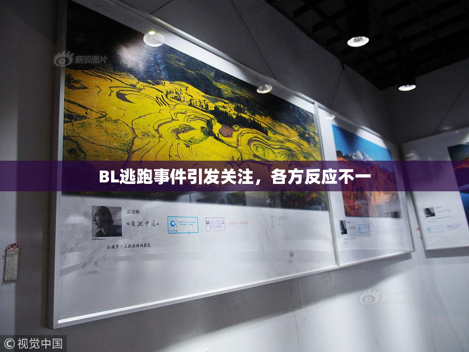 BL逃跑事件引发关注，各方反应不一