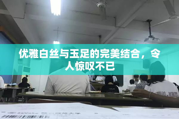 优雅白丝与玉足的完美结合，令人惊叹不已