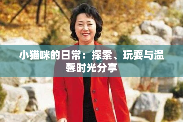 小猫咪的日常：探索、玩耍与温馨时光分享