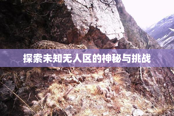 探索未知无人区的神秘与挑战