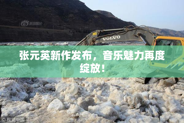 张元英新作发布，音乐魅力再度绽放！
