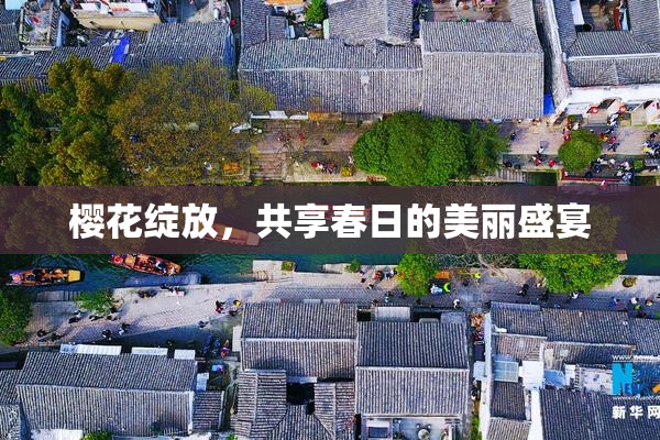 樱花绽放，共享春日的美丽盛宴