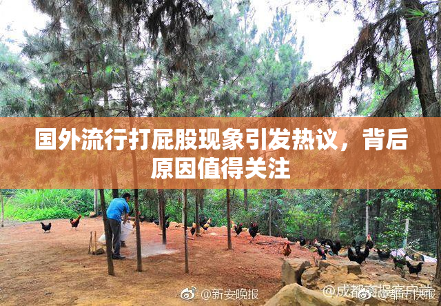 国外流行打屁股现象引发热议，背后原因值得关注