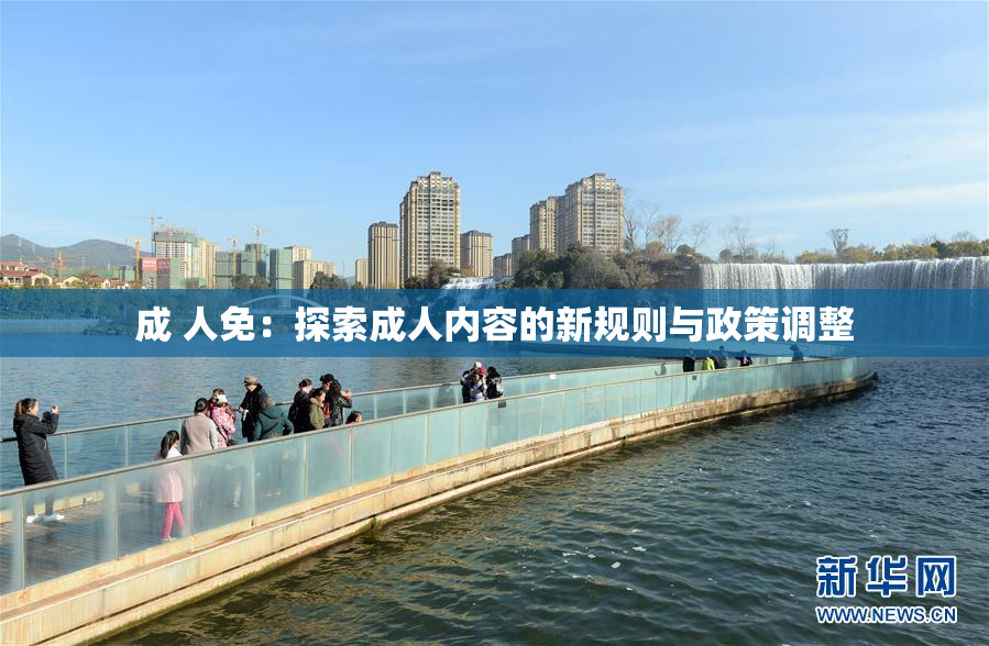 成 人免：探索成人内容的新规则与政策调整