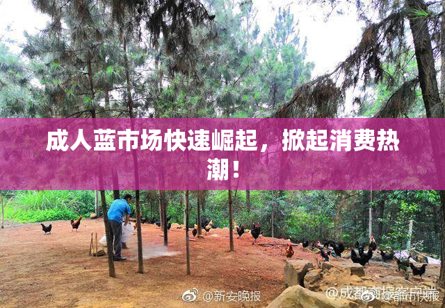 成人蓝市场快速崛起，掀起消费热潮！