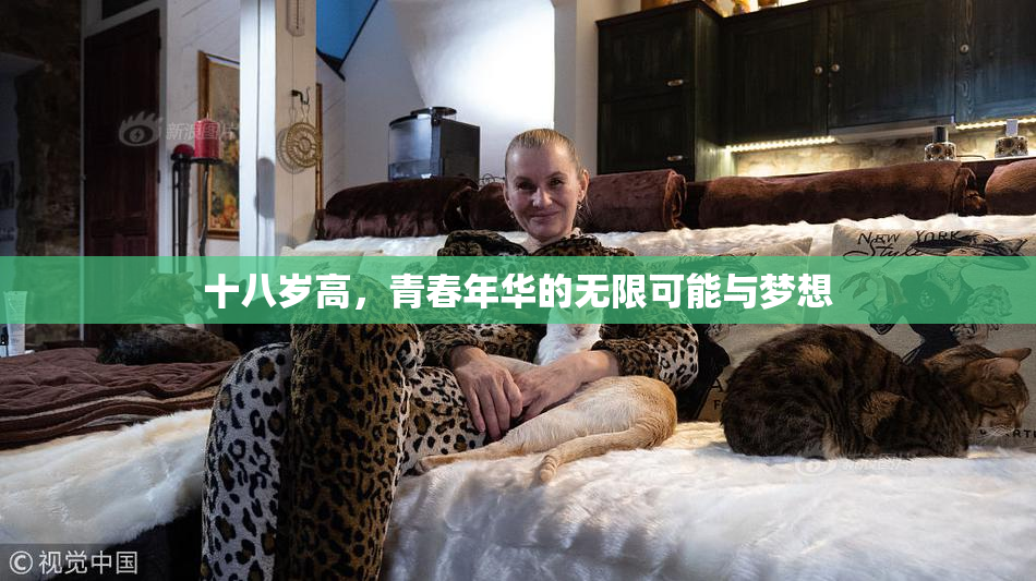 十八岁高，青春年华的无限可能与梦想