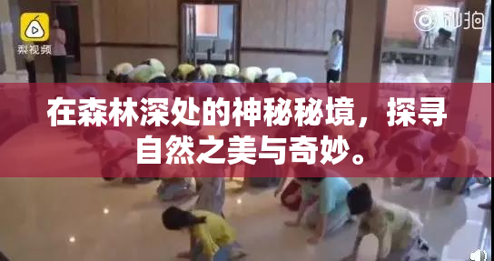 在森林深处的神秘秘境，探寻自然之美与奇妙。