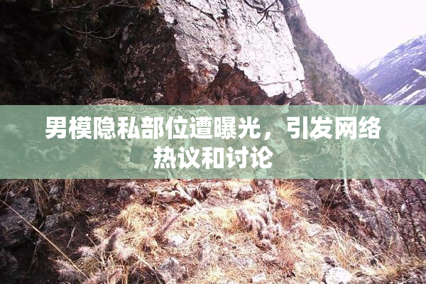 男模隐私部位遭曝光，引发网络热议和讨论