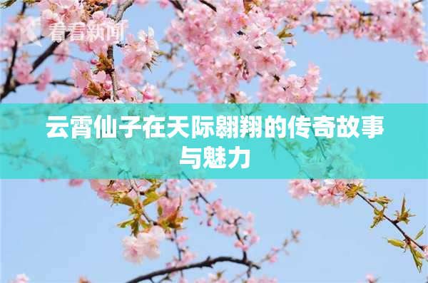 云霄仙子在天际翱翔的传奇故事与魅力