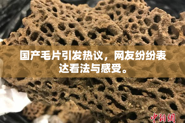 国产毛片引发热议，网友纷纷表达看法与感受。